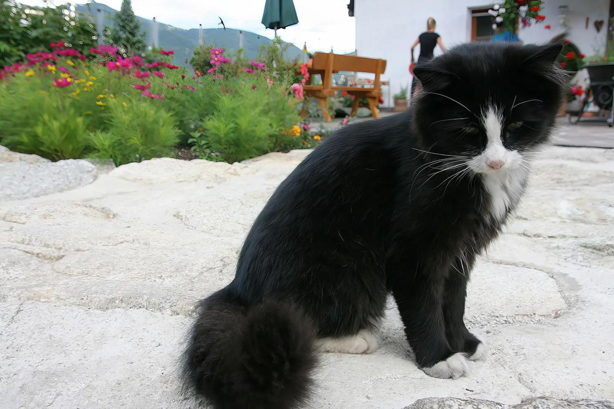 Вилла Binterhof Planca di Sopra Экстерьер фото